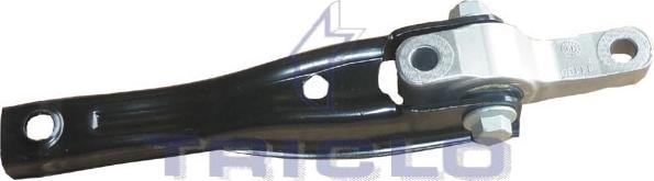 Triclo 362447 - Holder, engine mounting car-mod.net