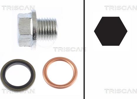 Triscan 9500 1001 - Sealing Plug, oil sump car-mod.net