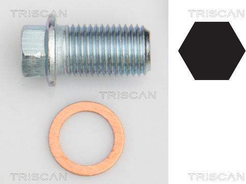 Triscan 9500 1012 - Sealing Plug, oil sump car-mod.net
