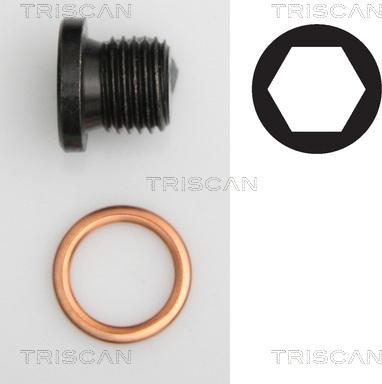 Triscan 9500 2906 - Sealing Plug, oil sump car-mod.net