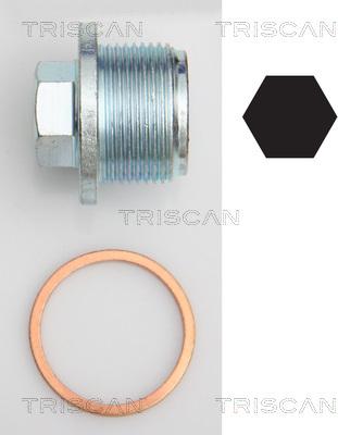 Triscan 9500 2908 - Sealing Plug, oil sump car-mod.net