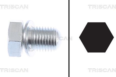 Triscan 9500 2903 - Sealing Plug, oil sump car-mod.net