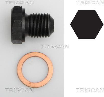Triscan 9500 2902 - Sealing Plug, oil sump car-mod.net
