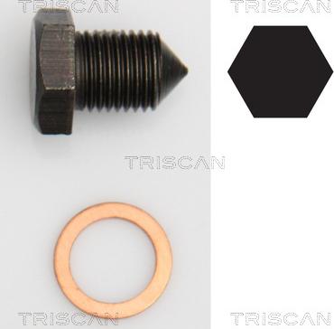 Triscan 9500 2907 - Sealing Plug, oil sump car-mod.net