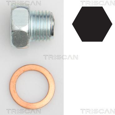 Triscan 9500 2404 - Sealing Plug, oil sump car-mod.net