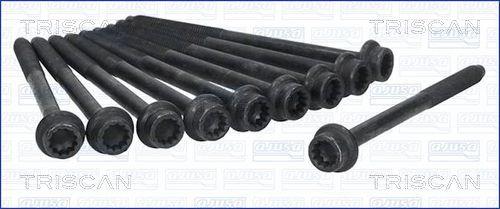 Triscan 98-8548 - Bolt Kit, cylinder head car-mod.net