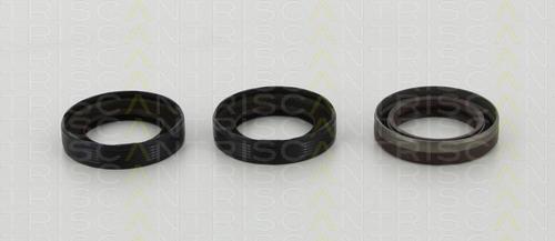 Triscan 8550 10059 - Shaft Seal Set, engine car-mod.net