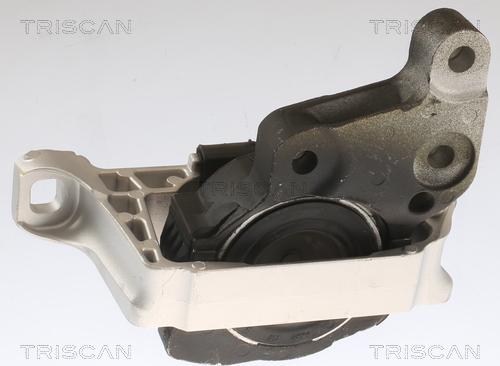 Triscan 8505 16113 - Holder, engine mounting car-mod.net