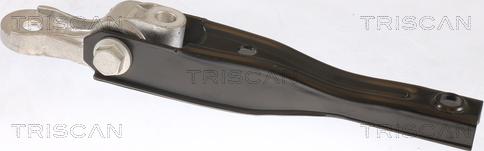 Triscan 8505 29149 - Holder, engine mounting car-mod.net