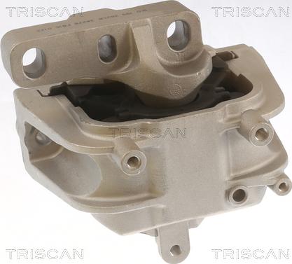 Triscan 8505 29143 - Holder, engine mounting car-mod.net