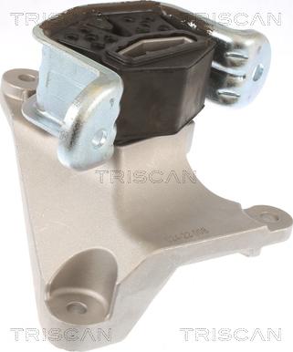 Triscan 8505 29165 - Holder, engine mounting car-mod.net