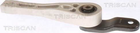 Triscan 8505 29109 - Holder, engine mounting car-mod.net