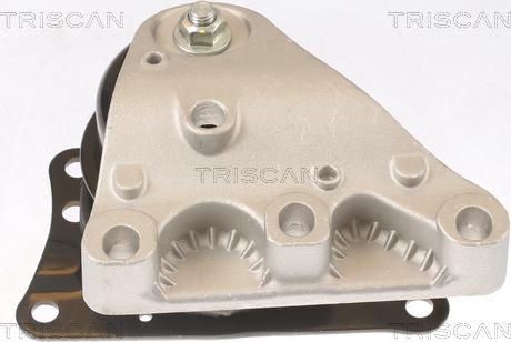 Triscan 8505 29110 - Holder, engine mounting car-mod.net