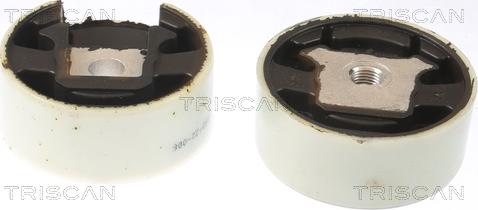 Triscan 8505 29188 - Holder, engine mounting car-mod.net