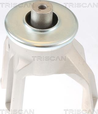Triscan 8505 29187 - Holder, engine mounting car-mod.net