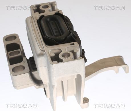 Triscan 8505 29129 - Holder, engine mounting car-mod.net