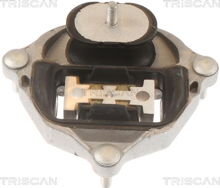 Triscan 8505 29215 - Mounting, automatic transmission car-mod.net