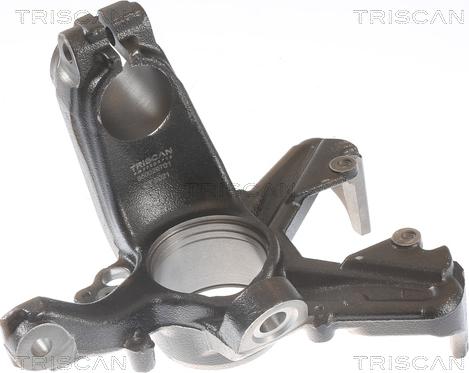 Triscan 8500 29701 - Steering Knuckle, wheel suspension car-mod.net
