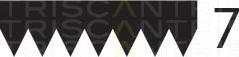 Triscan 8640 701640 - V-Ribbed Belt car-mod.net