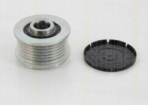 Triscan 8641 114005 - Pulley, alternator, freewheel clutch car-mod.net