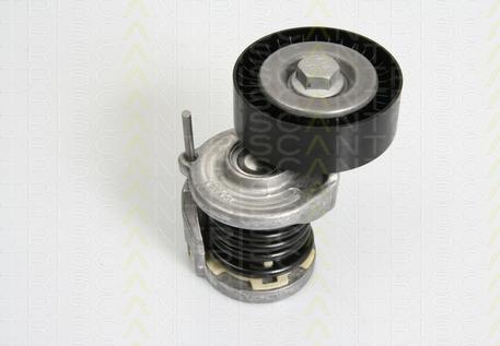 Triscan 8641 293021 - Belt Tensioner, v-ribbed belt car-mod.net