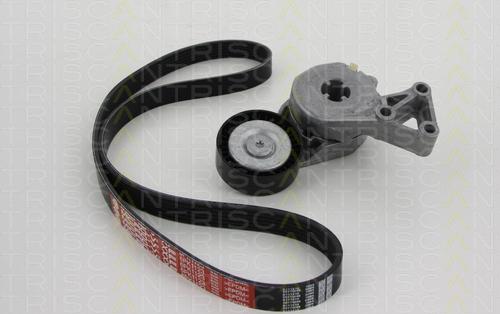 Triscan 8642 29003 - V-Ribbed Belt Set car-mod.net