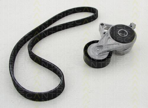 Triscan 8642 29013 - V-Ribbed Belt Set car-mod.net