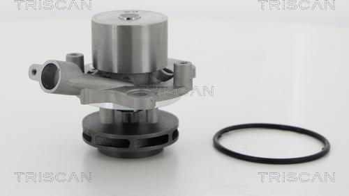 Triscan 8600 29065 - Water Pump car-mod.net