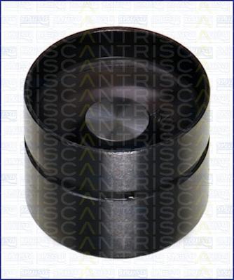 Triscan 80-17000 - Tappet / Rocker car-mod.net