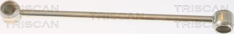 Triscan 8140 29765 - Cable, tip, manual transmission car-mod.net