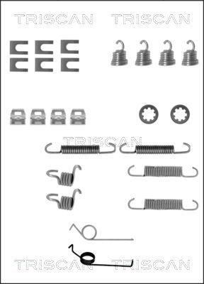 Triscan 8105 162046 - Accessory Kit, brake shoes car-mod.net
