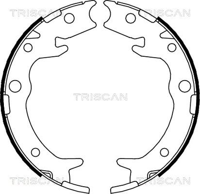 Triscan 8100 40005 - Brake Shoe Set, parking brake car-mod.net