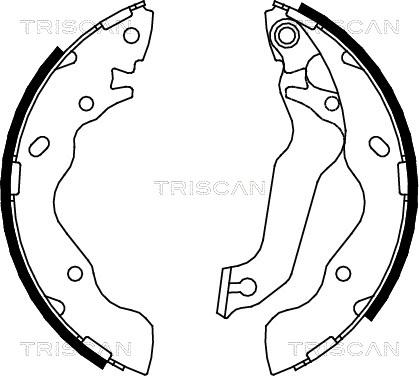 Triscan 8100 43013 - Drum Brake Shoe Set car-mod.net