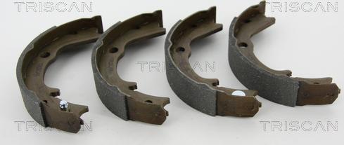 Triscan 8100 42016 - Brake Shoe Set, parking brake car-mod.net