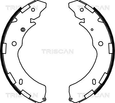 Triscan 8100 42021 - Drum Brake Shoe Set car-mod.net