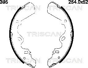 Triscan 8100 60395 - Drum Brake Shoe Set car-mod.net