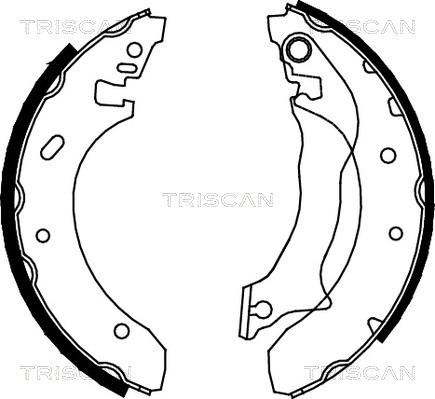 Triscan 8100 16559 - Drum Brake Shoe Set car-mod.net
