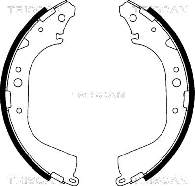 Triscan 8100 10519 - Drum Brake Shoe Set car-mod.net