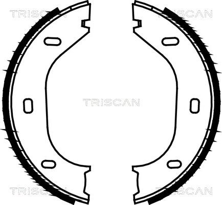 Triscan 8100 10290 - Brake Shoe Set, parking brake car-mod.net