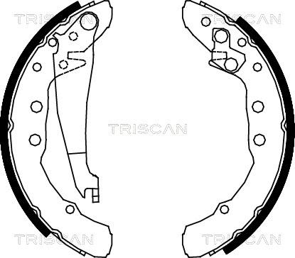 Triscan 8100 29530 - Drum Brake Shoe Set car-mod.net