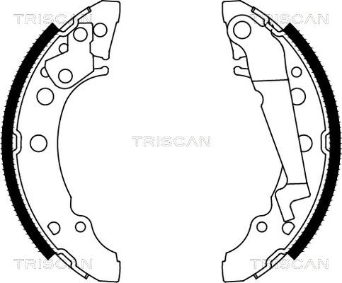 Triscan 8100 29001 - Drum Brake Shoe Set car-mod.net