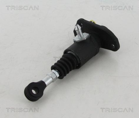 Triscan 8130 29209 - Master Cylinder, clutch car-mod.net