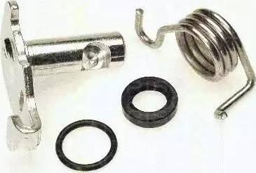 Triscan 8170 209910 - Repair Kit, parking brake handle (brake caliper) car-mod.net