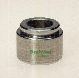 Triscan 8170 234003 - Piston, brake caliper car-mod.net