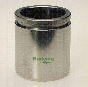 Triscan 8170 234810 - Piston, brake caliper car-mod.net