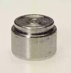 Triscan 8170 234205 - Piston, brake caliper car-mod.net
