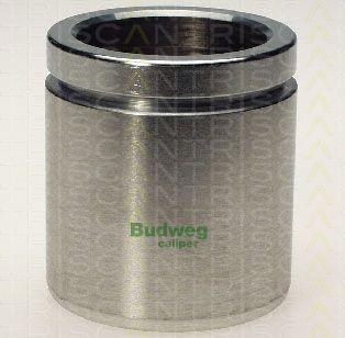 Triscan 8170 235461 - Piston, brake caliper car-mod.net