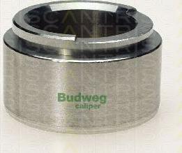 Triscan 8170 235702 - Piston, brake caliper car-mod.net