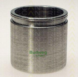 Triscan 8170 235716 - Piston, brake caliper car-mod.net