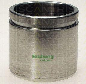 Triscan 8170 235717 - Piston, brake caliper car-mod.net